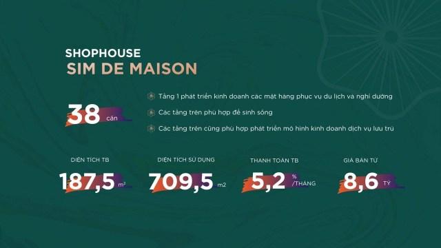 thong_ke_shophouse_sim_de_maison