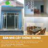 ban-nha-khu-dan-cu-hien-huu-o-cay-thong-trong - ảnh nhỏ  1