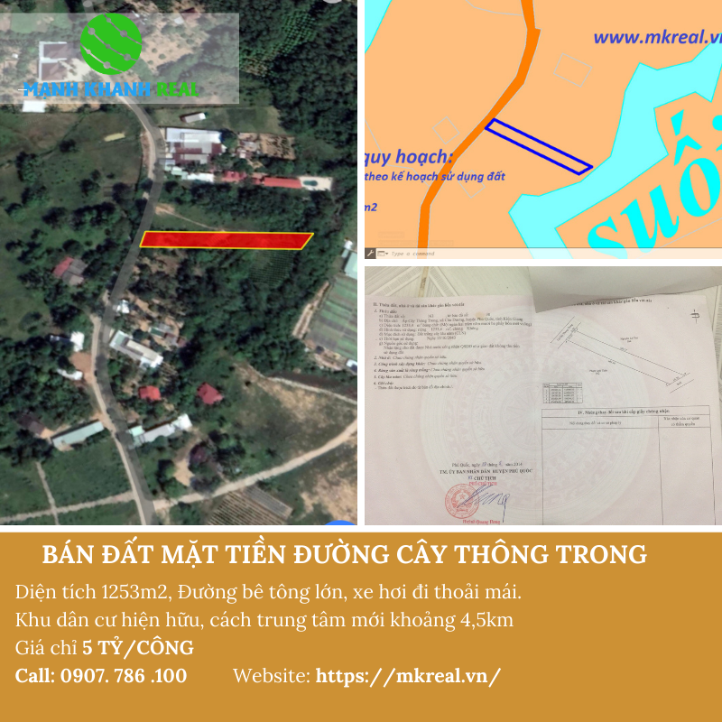 Bán 1,2 công đất mặt tiền đường cây thông trong