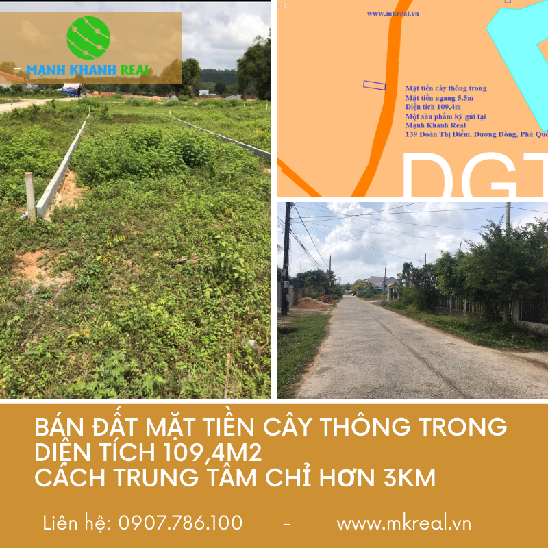 Bán đất mặt tiền cây thông trong tiện kinh doanh